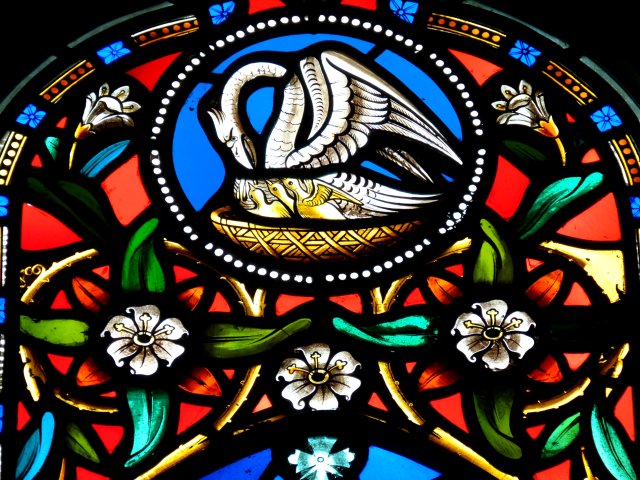 Stained glass pelican