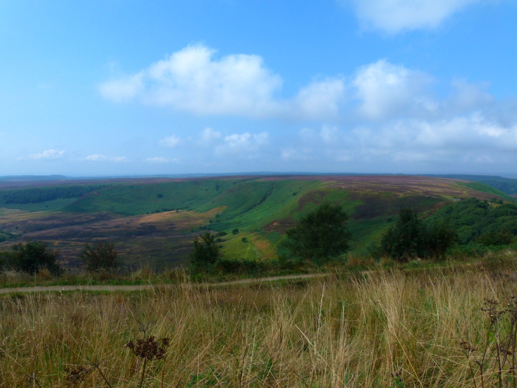 9a Hole of Horcum (2)