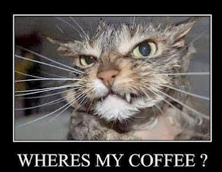 funny-coffee-cat