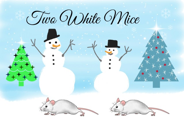 two white mice
