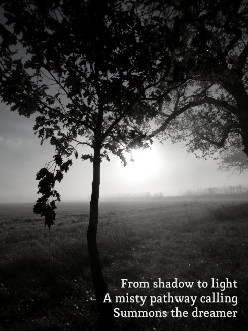 From shadow to light A misty pathway calling Summons the dreamer