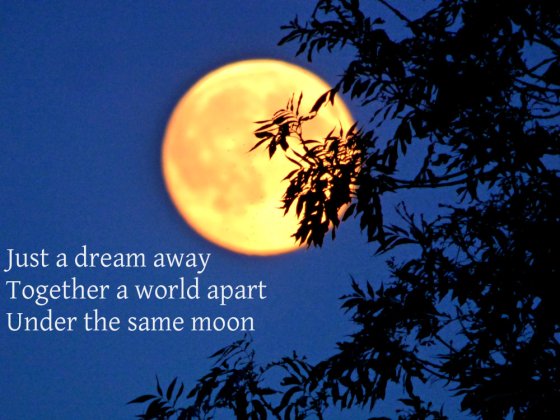 Just a dream away Together a world apart Under the same moon