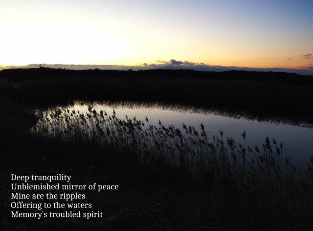 deep-tranquility-unblemished-mirror-of-peace-mine-are-the-ripples-offering-to-the-waters-memorys-troubled-spirit
