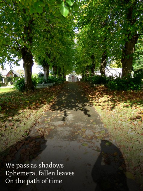we-pass-as-shadows-ephemera-fallen-leaves-on-the-path-of-time